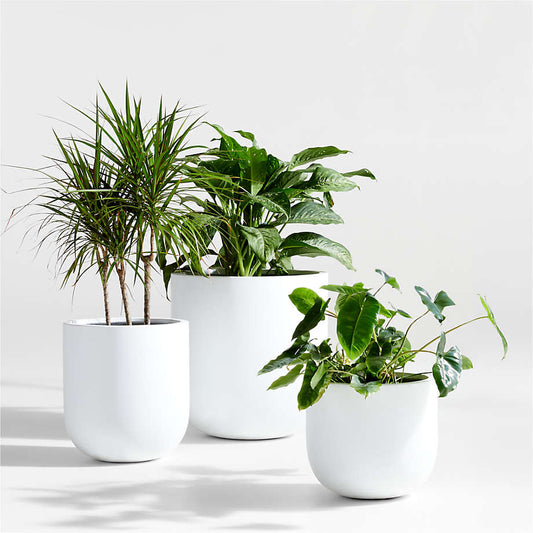 Conjunto 3 Vasos Cilíndrico Branco Minimalista – Linha Fiorelle