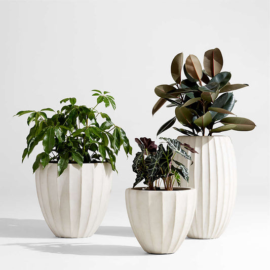 Conjunto de 3 Vasos Escultura Orgânica Branco – Linha Naturalle